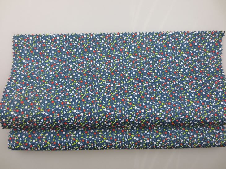 Print Cotton Poplin